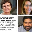 2019 Spring Mini-Symposium